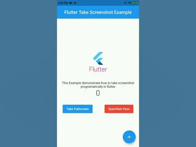 Video thumbnail for screenshot widget programmatically