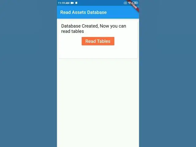 Video thumbnail for Copy assets database in Flutter