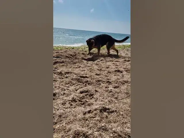 Video thumbnail for hard work