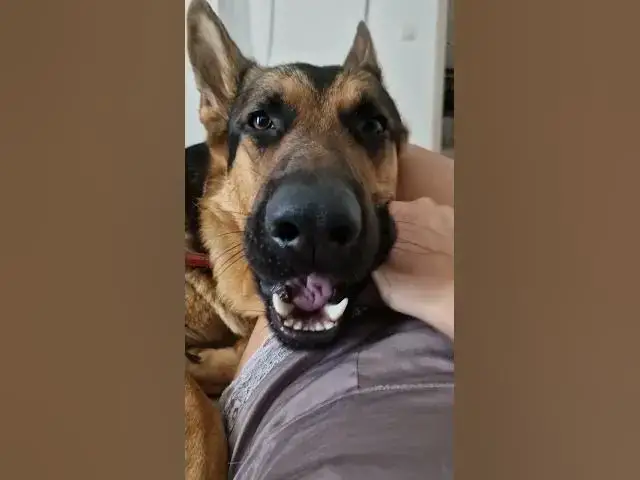 Video thumbnail for Bored