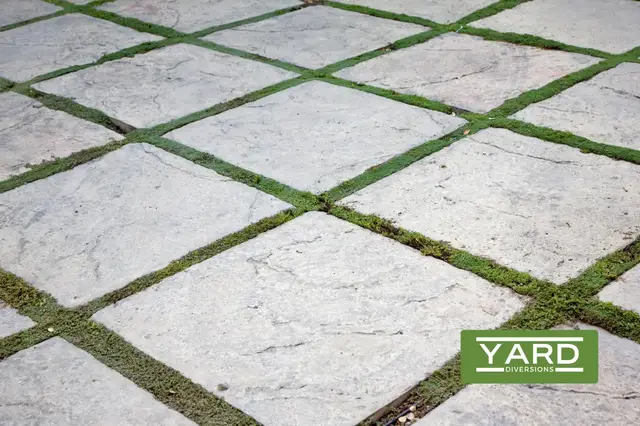 Video thumbnail for Laying Pavers On Grass: Leads To Bad Performance & Failure