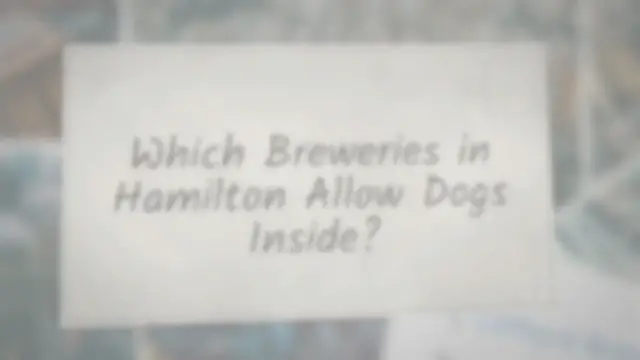 'Video thumbnail for Which Breweries in Hamilton Allow Dogs Inside?'