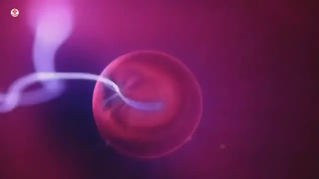 'Video thumbnail for Chân Ngã, Sợi Chỉ Bạc Và Mối Liên Hệ Với Chúng Ta'