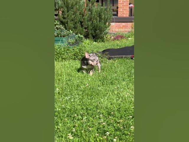 Video thumbnail for ohhh 😖😖## who are looking at 😖😖