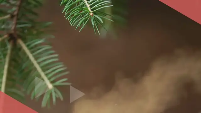 Video thumbnail for Red wine cookies with red wine glaze & rosemary