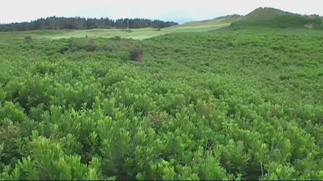 Video thumbnail for Roadtrip durch Prince Edward Islands Südosten