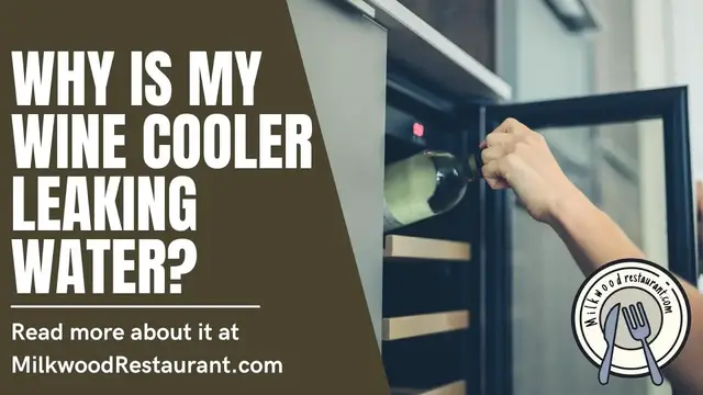 Video thumbnail for Why Is My Wine Cooler Leaking Water? 3 Superb Reasons Why It Happen