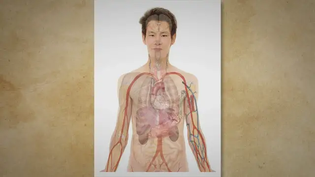 Video thumbnail for What is histopathology?
