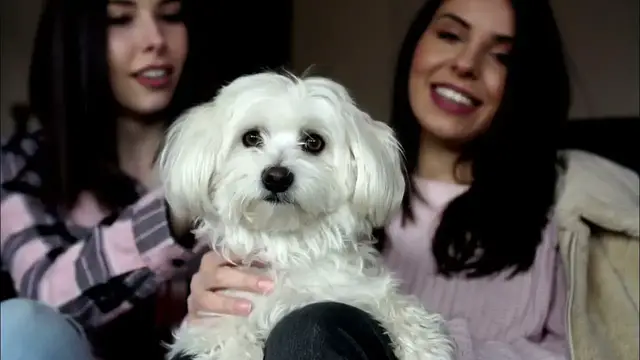 Video thumbnail for Main Effects Of Biodiversity Loss