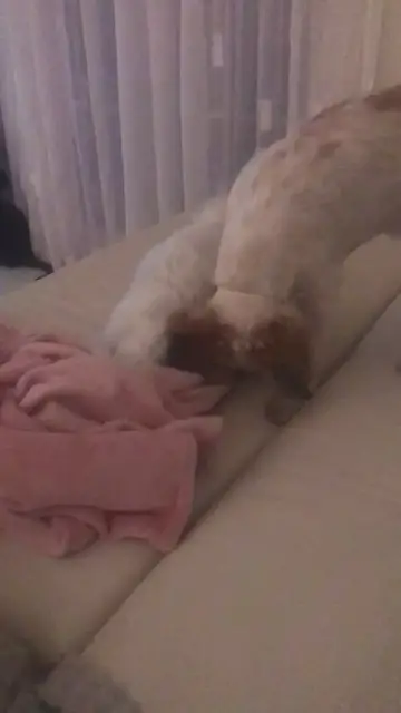 Video thumbnail for Summer is always learning from her big little sister Arya