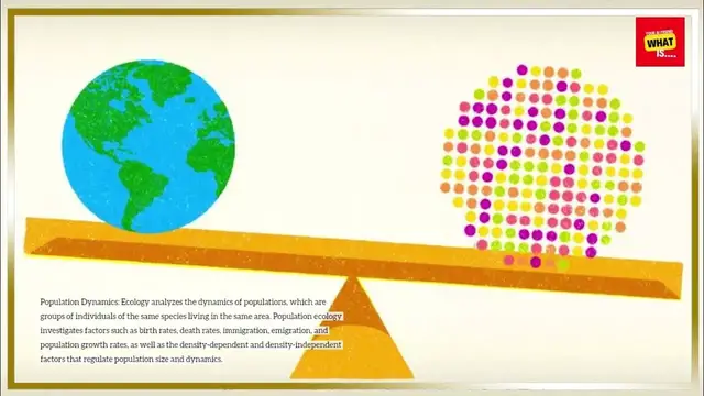 Video thumbnail for What is Ecology, and How Does it Examine Ecosystems and Environmental Interactions?