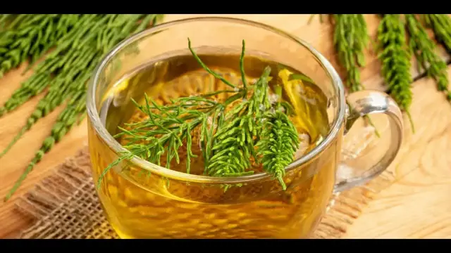 Video thumbnail for Horsetail Tea, Super 6 Benefits of This Beverage