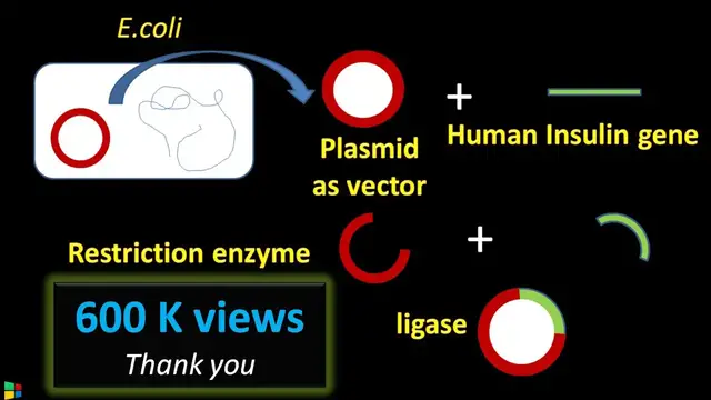 Video thumbnail for Steps in Recombinant DNA technology or rDNA technology