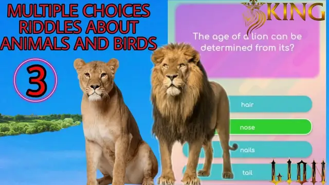 Video thumbnail for Multiple choice riddles about animals and birds #3 | Which part of a lion can be determined its age?
