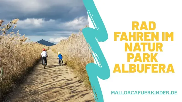 'Video thumbnail for Radfahren im Naturpark Albufera'