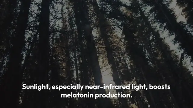 Video thumbnail for Melatonin_s_Antioxidant_Power