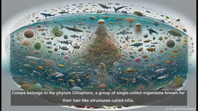 Video thumbnail for Coleps in biology