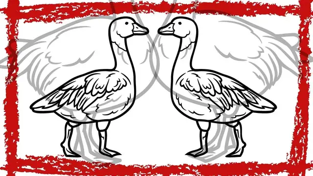 Video thumbnail for Snow Goose Call | Snow Goose Sounds | Snow Goose Video