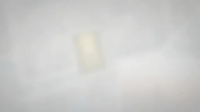 Video thumbnail for How Much Is a Trilobite Fossil Worth?