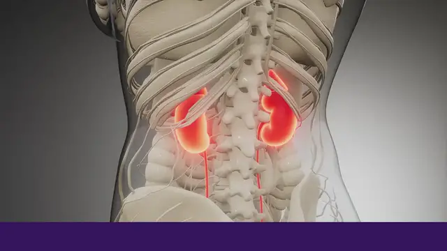 Video thumbnail for 10 Clear Signs Your Kidneys Are Healthy and Working Well