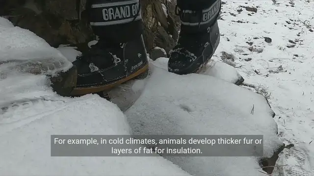 Video thumbnail for The Amazing World of Physiological Adaptations