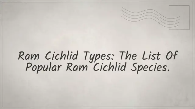 'Video thumbnail for Ram Cichlid Types: The List Of Popular Ram Cichlid Species'