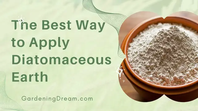 Video thumbnail for The Best Way to Apply Diatomaceous Earth