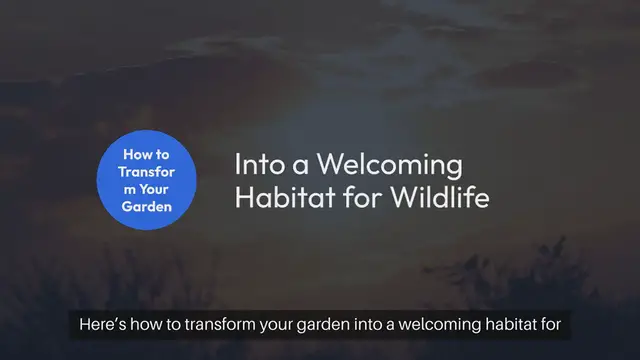 Video thumbnail for How to Create a Wildlife-Friendly Outdoor Garden