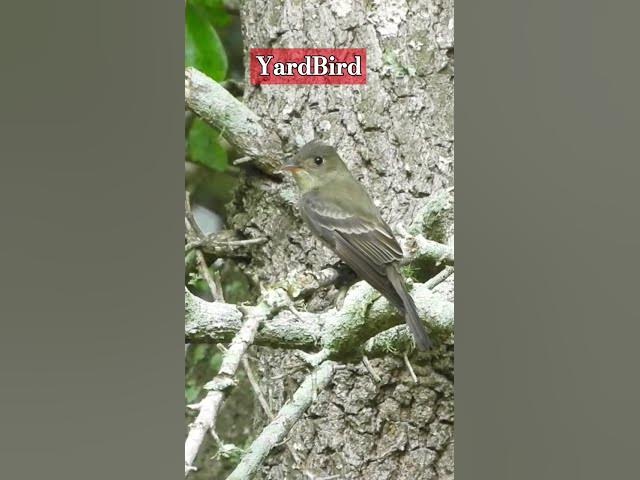 Video thumbnail for Sit and Wait