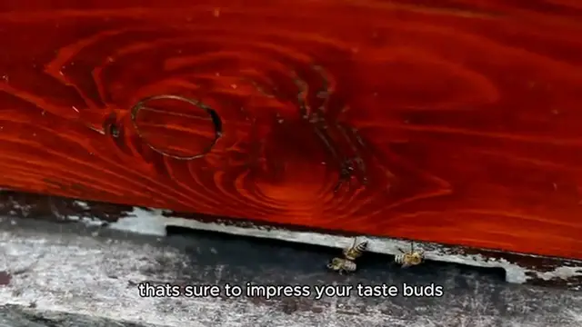 Video thumbnail for red snapper recipe