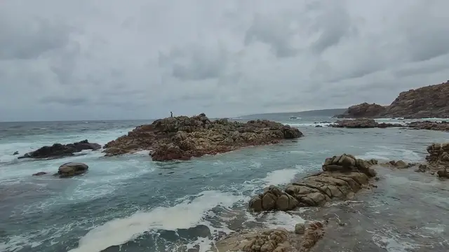 'Video thumbnail for Aquarium Yallingup 5'
