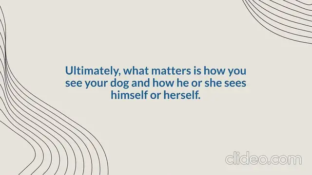 'Video thumbnail for Is a Dog a Person Place or Thing'