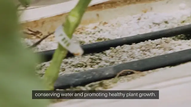 Video thumbnail for How to Install Drip Irrigation for Outdoor Gardens