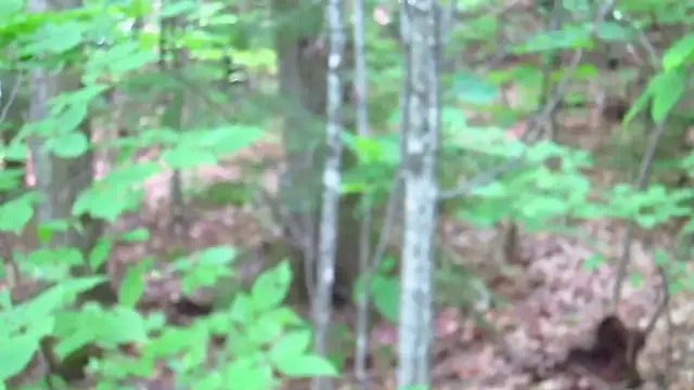 Video thumbnail for DIY Shed Site Clearing