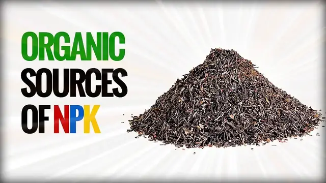 Video thumbnail for Organic Sources of NPK