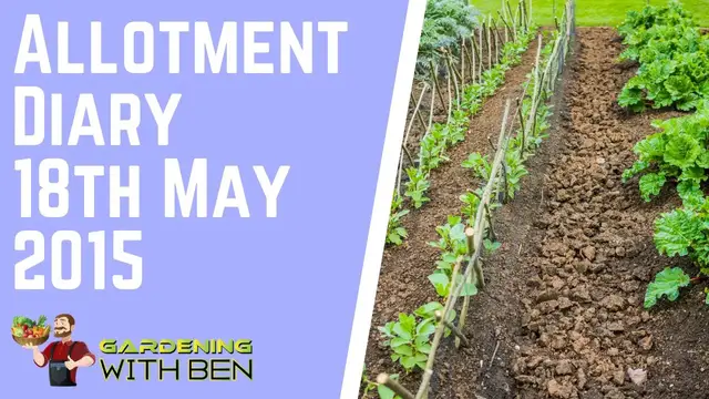 'Video thumbnail for 🎥 ✅ May 18th Allotment Diary 🌼🌿 | Planting Updates & Seasonal Garden Progress 2015 🌱✨'