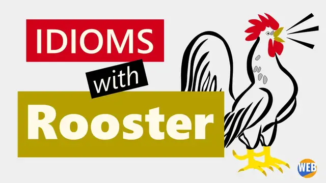 Video thumbnail for  Idioms and expressions with Rooster