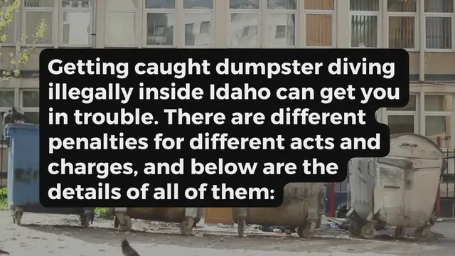 'Video thumbnail for Dumpster Diving in Idaho'