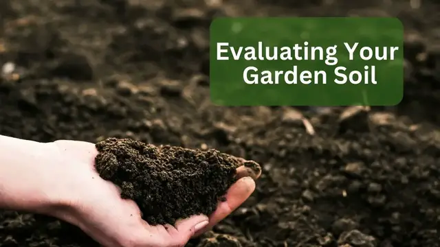 'Video thumbnail for Evaluating Your Garden Soil'
