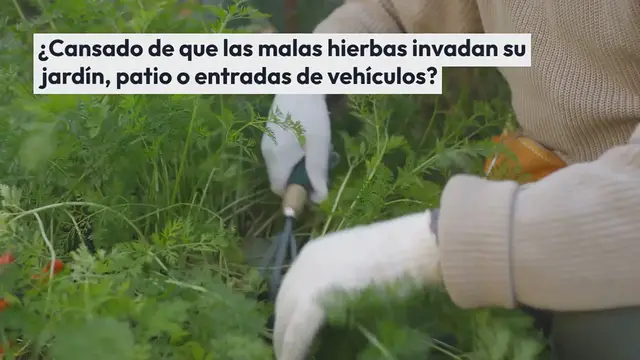 Video thumbnail for ¡Nuestra receta casera de herbicida con vinagre blanco para un jardín sano y natural!