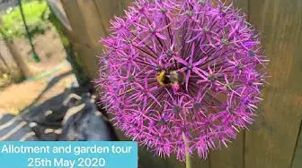 'Video thumbnail for 🎥 ✅ “Allotment & Garden Weekly Tour 🌿📅 | May 25th 2020 – Seasonal Highlights, Progress & Updates 🌸✨”'