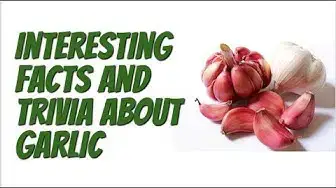 Video thumbnail for Unknown Garlic Facts: Things you should Know Before Growing Garlic
