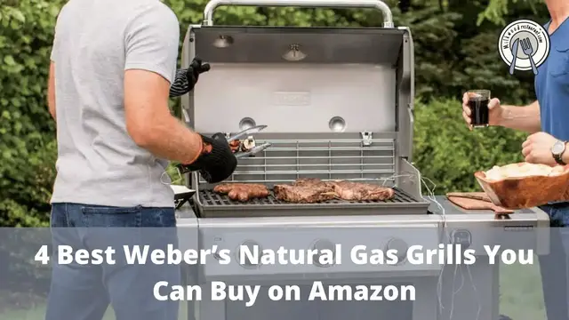 Video thumbnail for 4 Best Weber’s Natural Gas Grills You Can Buy on Amazon