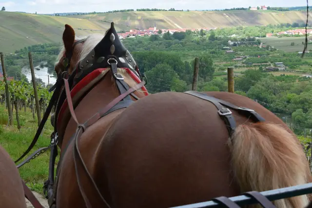 Video thumbnail for Slow Travel & Genuss Reisen mit TravelWorldOnline