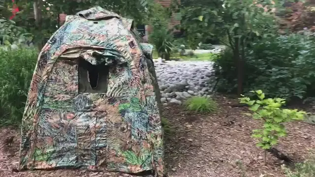 Video thumbnail for Tragopan Photo blind