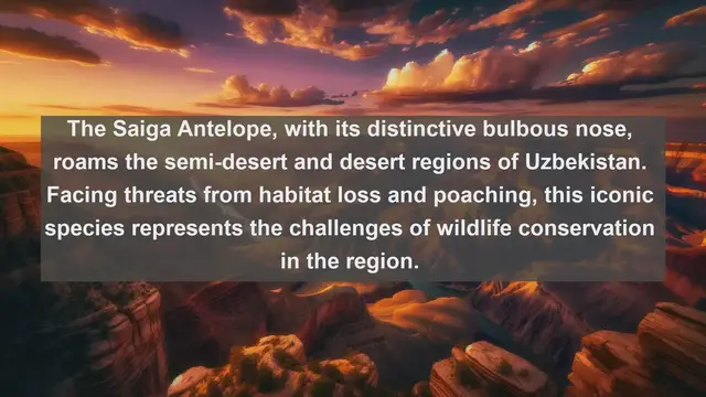 Video thumbnail for Exploring Uzbekistan's Wildlife: Top 10 Native Fauna Revealed