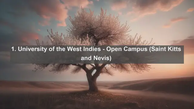 Video thumbnail for Unveiling Excellence: Top 10 Universities in Saint Kitts and Nevis