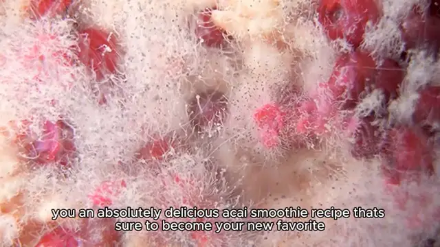 Video thumbnail for Acai smoothie recipe