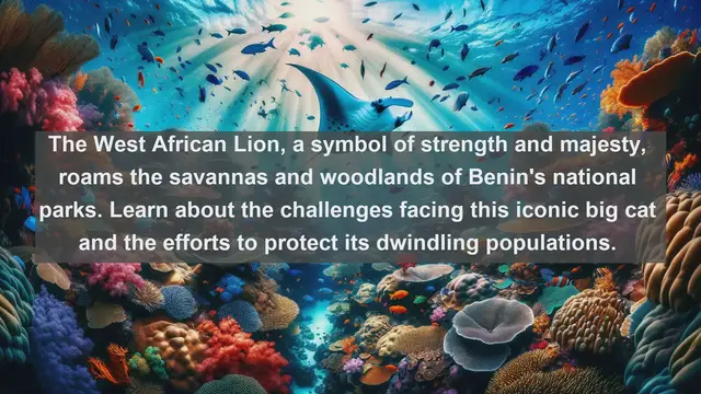 Video thumbnail for Top 10 native fauna in Benin