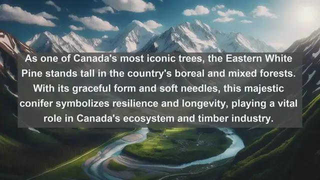 Video thumbnail for Unveiling Canada's Botanical Treasures: Top 10 Native Flora Revealed